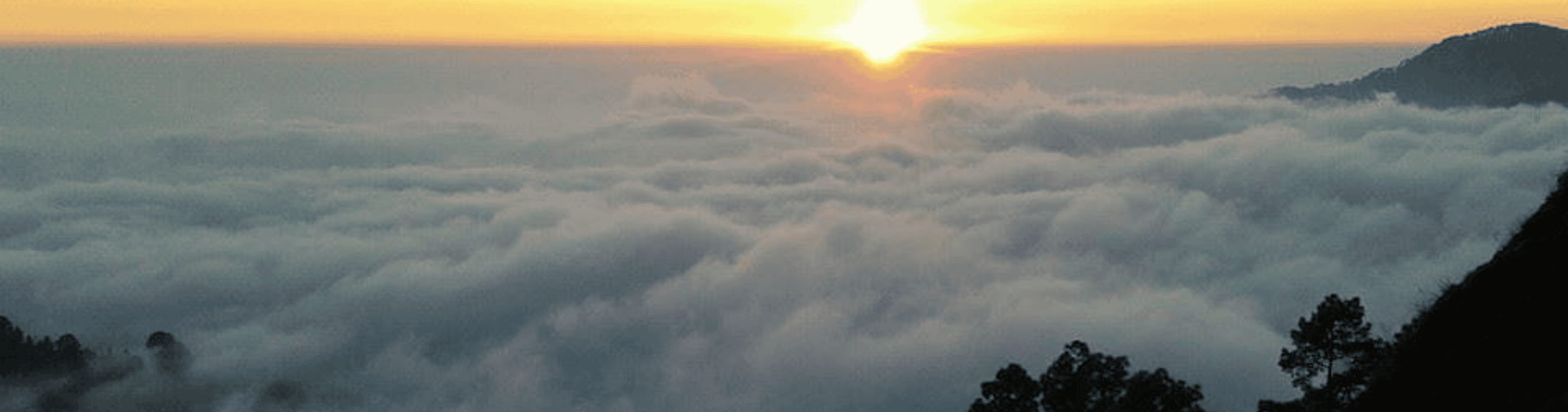 Where modern Rooms meet nature in Nainital